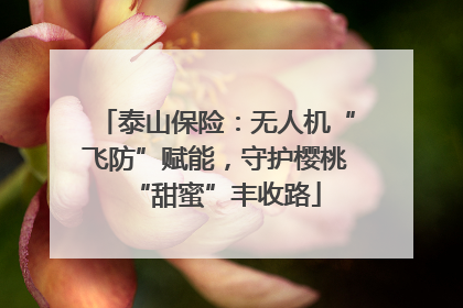 泰山保险：无人机“飞防”赋能，守护樱桃“甜蜜”丰收路