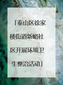 泰山区徐家楼街道新峪社区开展环境卫生整治活动