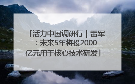 活力中国调研行｜雷军：未来5年将投2000亿元用于核心技术研发