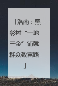洛南：黑彰村“一地三金”铺就群众致富路