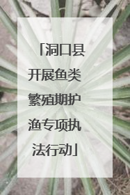 洞口县开展鱼类繁殖期护渔专项执法行动