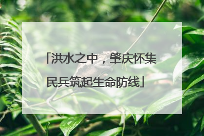 洪水之中，肇庆怀集民兵筑起生命防线