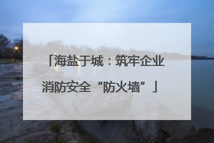 海盐于城：筑牢企业消防安全“防火墙”