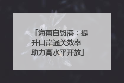 海南自贸港：提升口岸通关效率 助力高水平开放