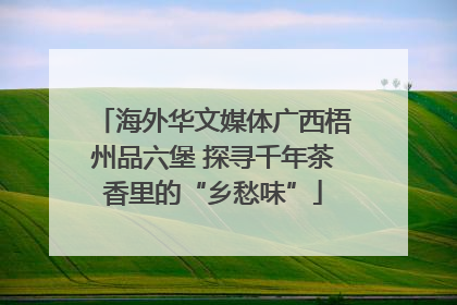 海外华文媒体广西梧州品六堡 探寻千年茶香里的“乡愁味”