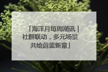 海洋月每周潮讯｜社群联动，多元场景共绘蔚蓝新章