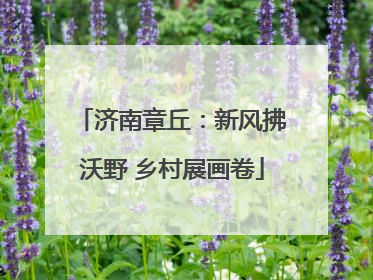 济南章丘：新风拂沃野 乡村展画卷