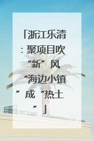浙江乐清：聚项目吹“新”风 “海边小镇”成“热土”