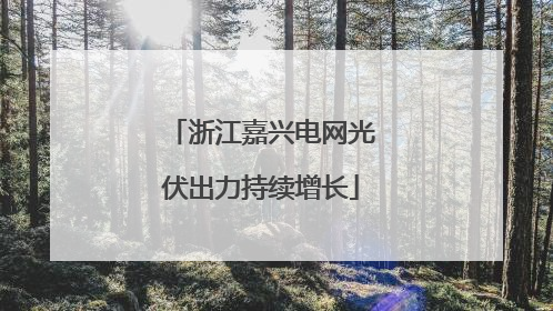 浙江嘉兴电网光伏出力持续增长