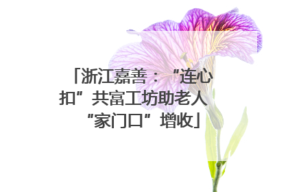 浙江嘉善：“连心扣”共富工坊助老人“家门口”增收