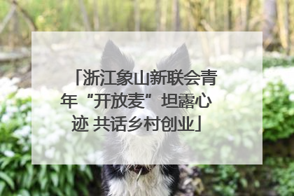 浙江象山新联会青年“开放麦”坦露心迹 共话乡村创业