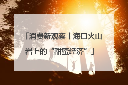 消费新观察丨海口火山岩上的“甜蜜经济”
