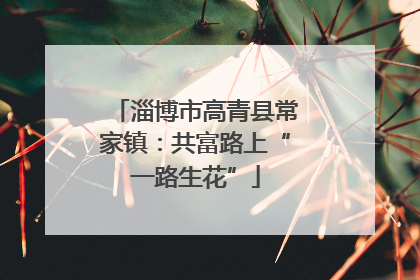 淄博市高青县常家镇：共富路上“一路生花”