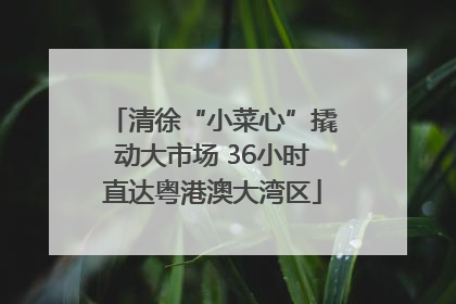 清徐“小菜心”撬动大市场 36小时直达粤港澳大湾区