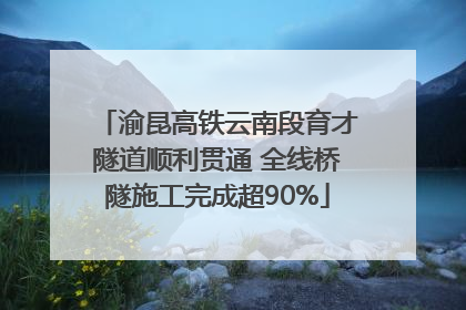 渝昆高铁云南段育才隧道顺利贯通 全线桥隧施工完成超90%