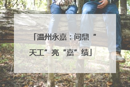 温州永嘉：问鼎“天工”亮“嘉”绩