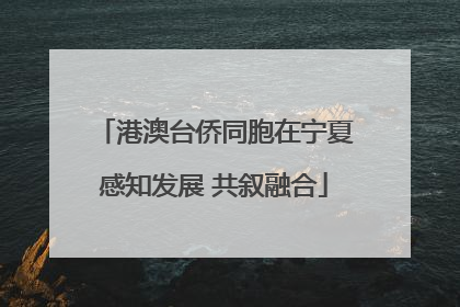 港澳台侨同胞在宁夏感知发展 共叙融合