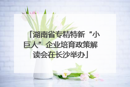湖南省专精特新“小巨人”企业培育政策解读会在长沙举办