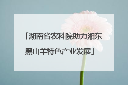 湖南省农科院助力湘东黑山羊特色产业发展