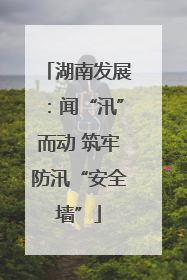 湖南发展：闻“汛”而动 筑牢防汛“安全墙”