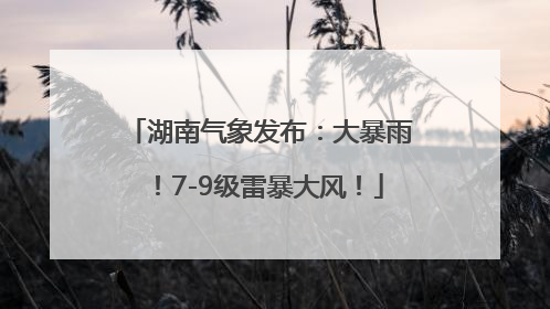 湖南气象发布：大暴雨！7-9级雷暴大风！