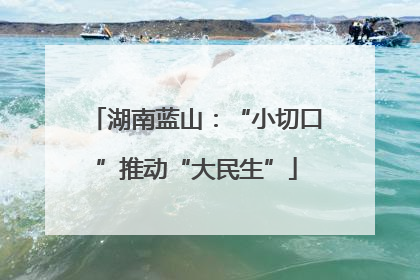 湖南蓝山：“小切口”推动“大民生”