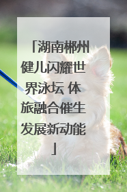 湖南郴州健儿闪耀世界泳坛 体旅融合催生发展新动能