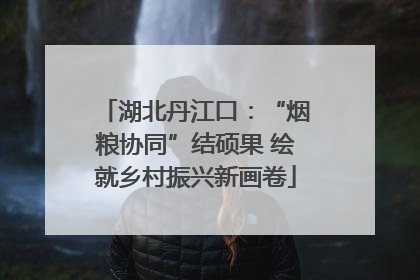 湖北丹江口：“烟粮协同”结硕果 绘就乡村振兴新画卷