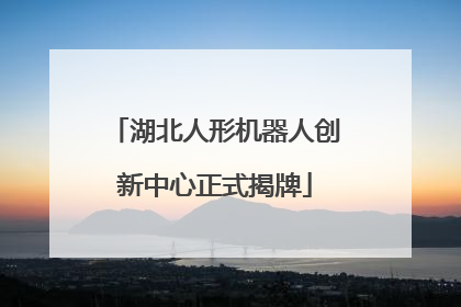 湖北人形机器人创新中心正式揭牌