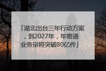湖北出台三年行动方案，到2027年，年寄递业务量将突破80亿件