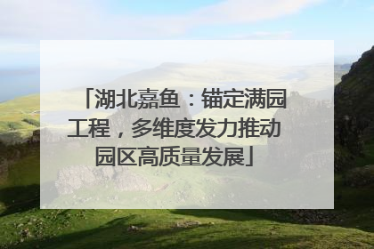 湖北嘉鱼：锚定满园工程，多维度发力推动园区高质量发展