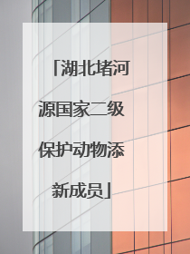 湖北堵河源国家二级保护动物添新成员