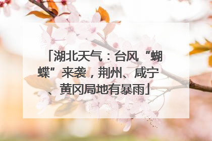 湖北天气：台风“蝴蝶”来袭，荆州、咸宁、黄冈局地有暴雨