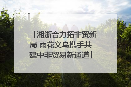 湘浙合力拓非贸新局 雨花义乌携手共建中非贸易新通道