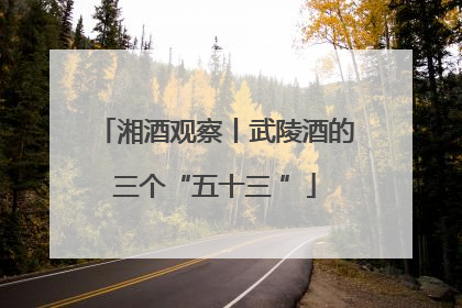 湘酒观察丨武陵酒的三个“五十三 ”