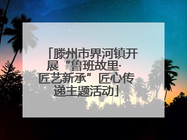 滕州市界河镇开展“鲁班故里· 匠艺新承”匠心传递主题活动