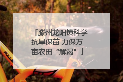 滕州龙阳镇科学抗旱保苗 力保万亩农田“解渴”