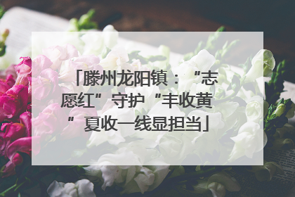 滕州龙阳镇：“志愿红”守护“丰收黄”夏收一线显担当