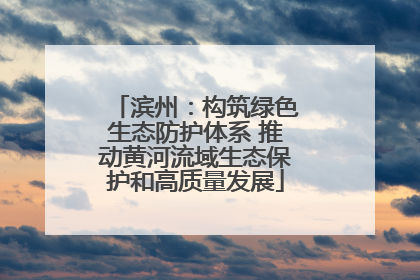 滨州：构筑绿色生态防护体系 推动黄河流域生态保护和高质量发展