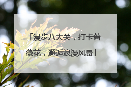 漫步八大关，打卡蔷薇花，邂逅浪漫风景