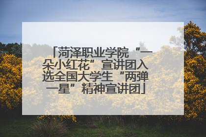 菏泽职业学院“一朵小红花”宣讲团入选全国大学生“两弹一星”精神宣讲团