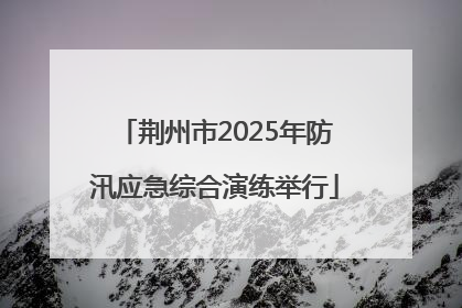 荆州市2025年防汛应急综合演练举行
