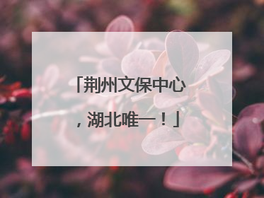 荆州文保中心，湖北唯一！