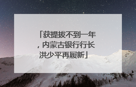 获提拔不到一年，内蒙古银行行长洪少平再履新