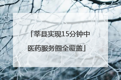 莘县实现15分钟中医药服务圈全覆盖