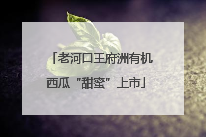 老河口王府洲有机西瓜“甜蜜”上市