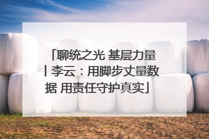 聊统之光 基层力量丨李云：用脚步丈量数据 用责任守护真实