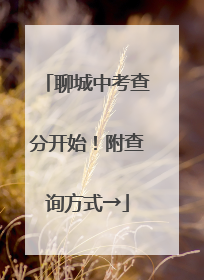 聊城中考查分开始！附查询方式→