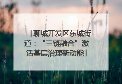 聊城开发区东城街道：“三链融合”激活基层治理新动能