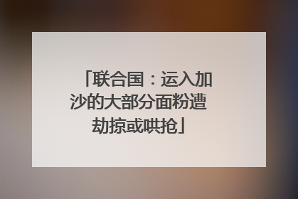 联合国：运入加沙的大部分面粉遭劫掠或哄抢